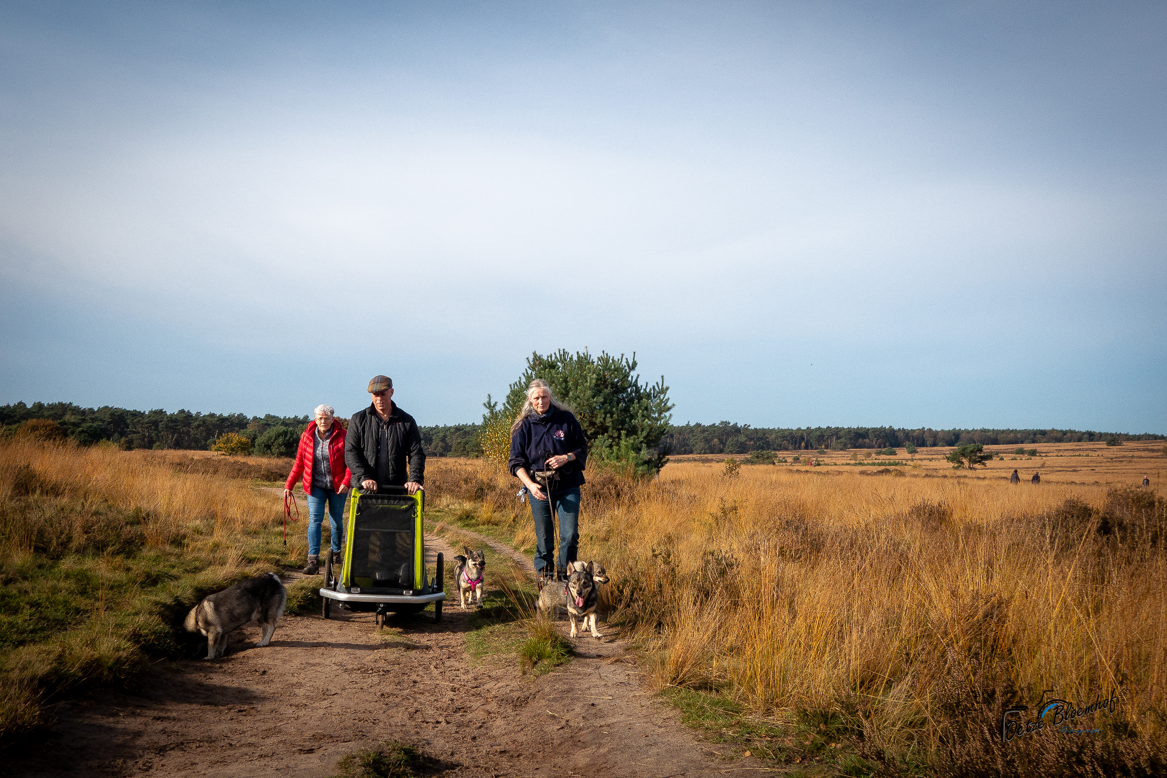 rozendaal-2021